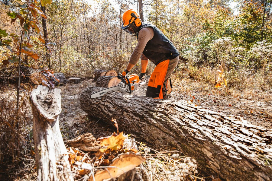 ms 391 gasoline chainsaw