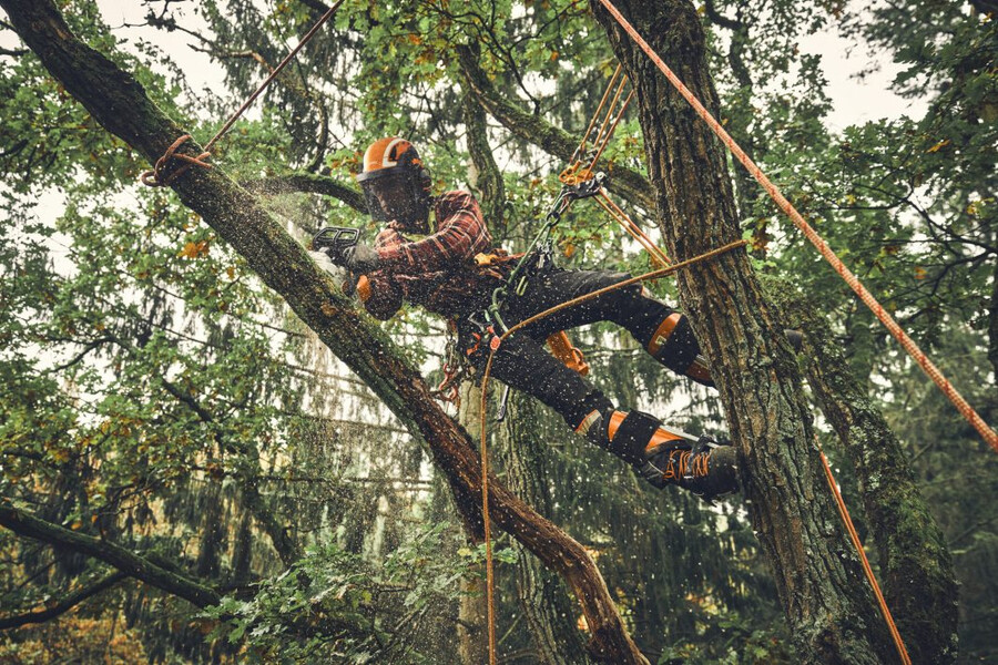 msa 190 t battery powered chainsaw